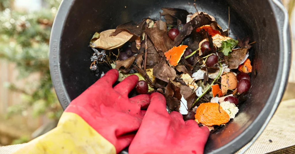 Gloved hands holding a kitchen compost bin full of food scraps that attract fruit flies