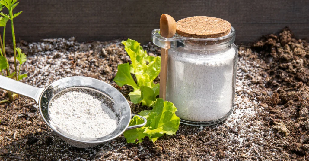 Jar of white powder and a scoop of diatomaceous earth on dark soil with green leaves