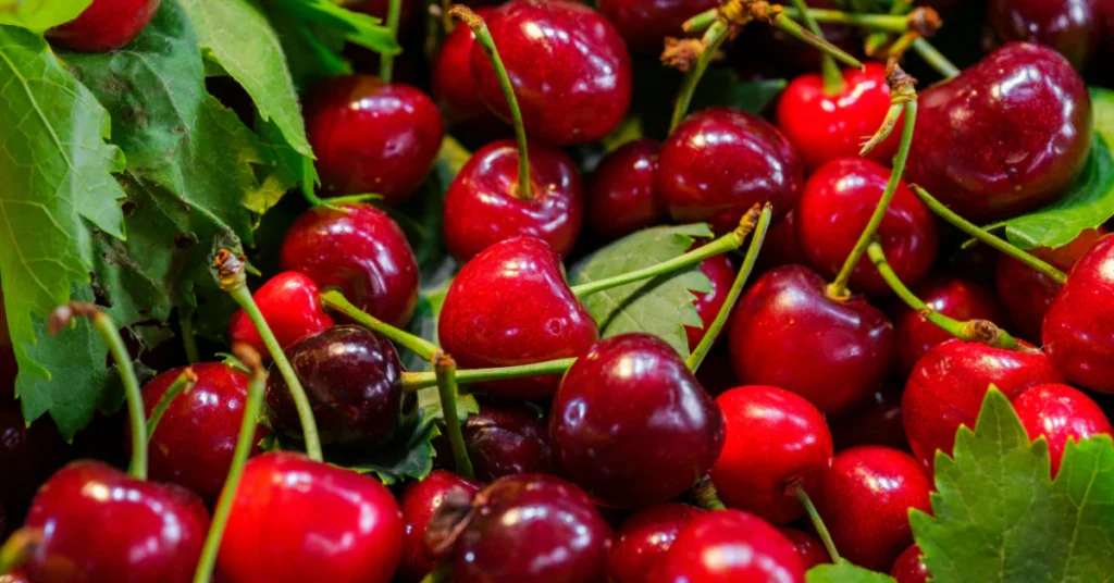 Fresh tart cherries, a natural source of melatonin that may support sleep